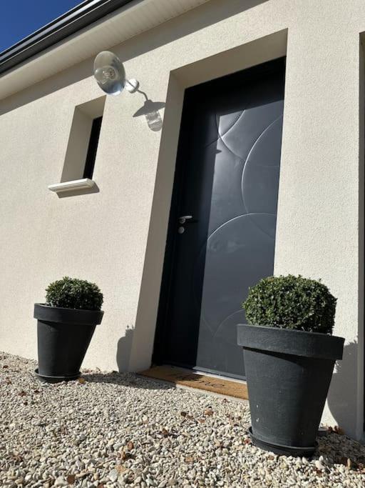 Villa * Domaine De La Solaie * - Proche Bords De Loire Saint-Denis-de lʼHôtel Exterior foto